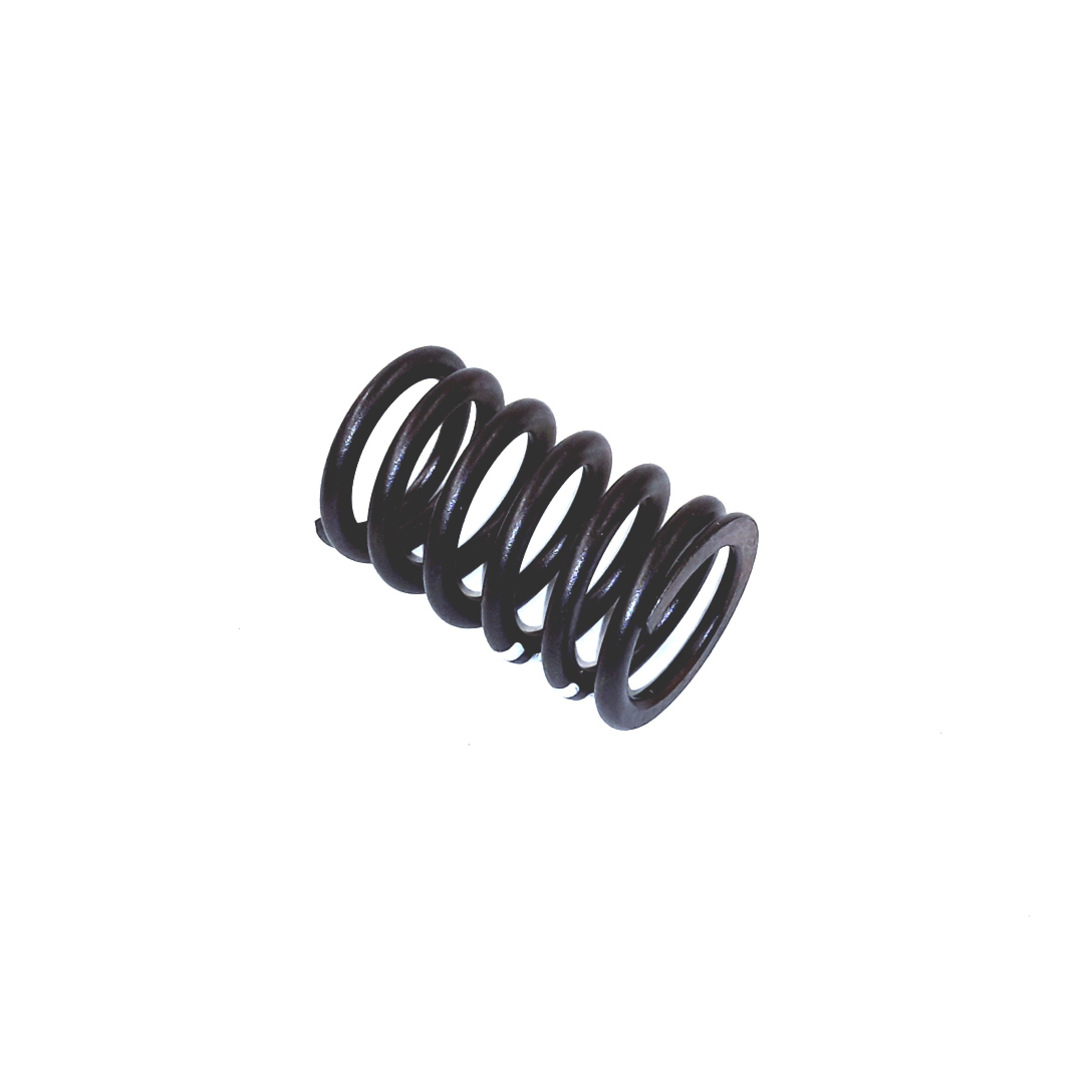 Volkswagen Golf Engine Valve Spring. VALVE SPRINGS - 078109623C | North